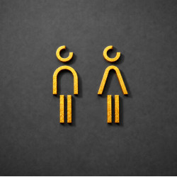 Kleedkamer of Toilet pictogrammen - Man + Vrouw 3D - Divergent - Goud - hoogwaardig Acryl bord