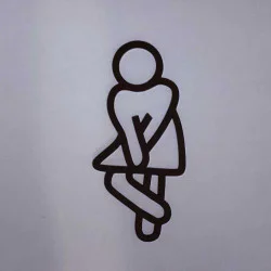 Toilet pictogrammen - Vrouw 3D - FUN - hoogwaardig Acryl bord