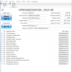 SK hynix BC711 256 GB SSD – M.2 2280 NVMe PCIe 3.0 x4