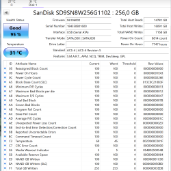 SanDisk X600 256 GB SSD – M.2 2280 SATA III
