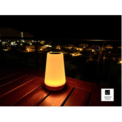 Sfeerlamp - sfeerlicht - tafellamp - nachtlampje met ingebouwde batterij - Wit of RGB kleuren