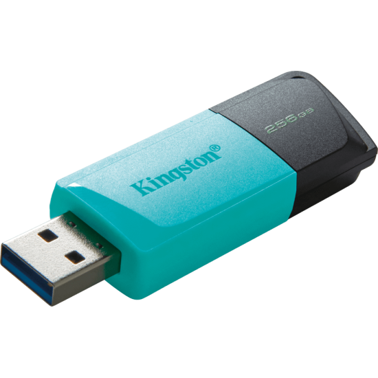 Kingston DataTraveler - 256 GB